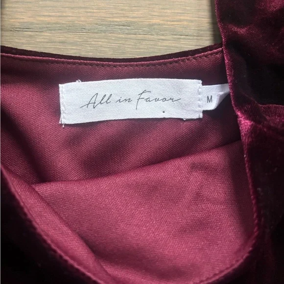 All in Favor Burgandy Velvet Fit & Flare
Dress Nordstrom women’s size medium - Picture 6 of 8